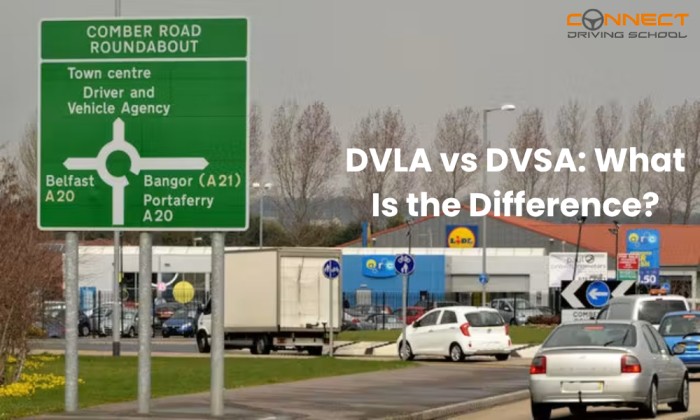 DVLA vs DVSA