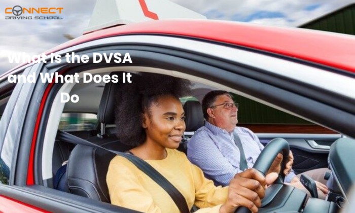 What Is the DVSA